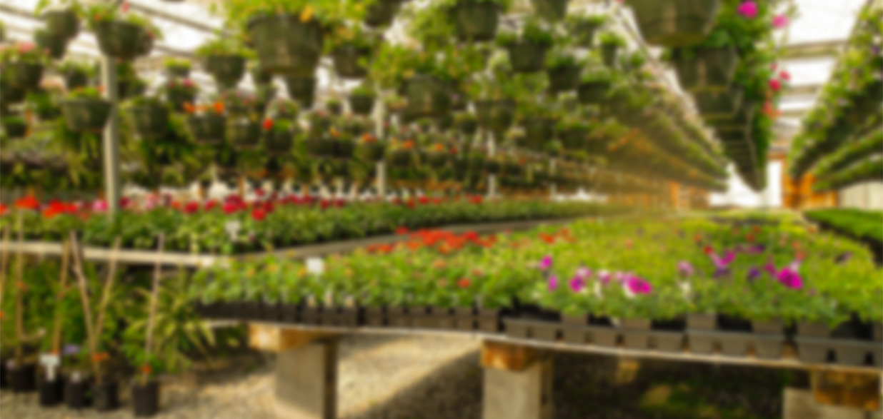 Intelligent Plant Management