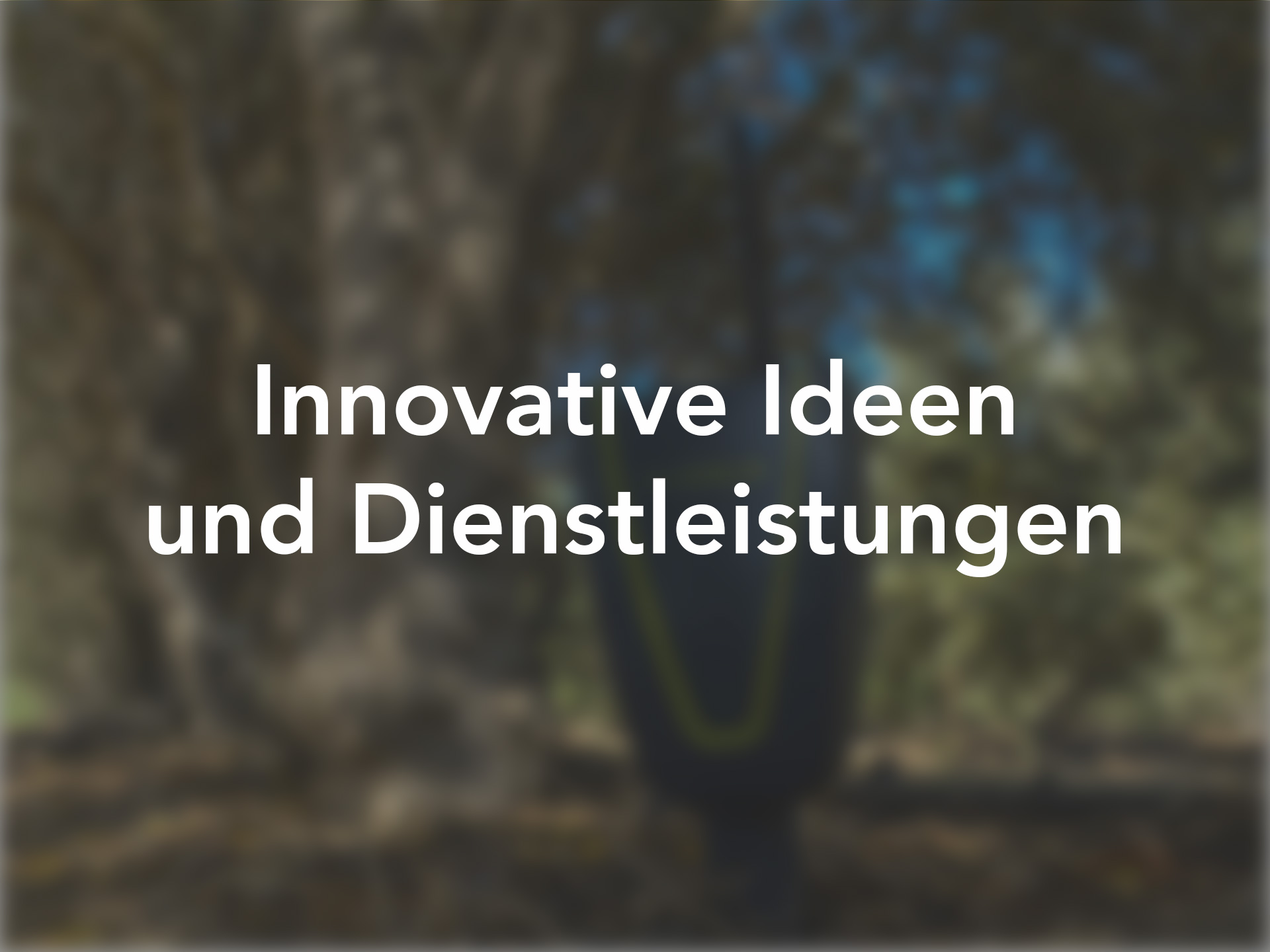 Innovative Ideen und Dienstleistungen