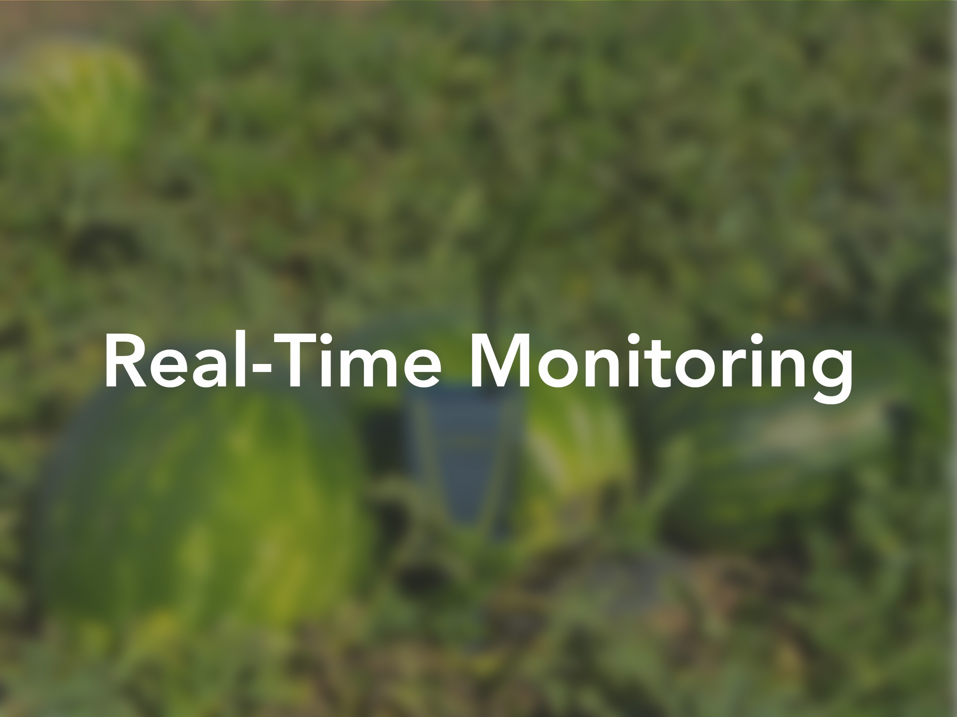 Real-Time Monitoring